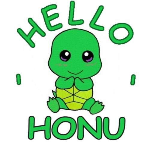 hello_honu_05